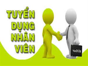 tuyển dụng công ty Anh Phát